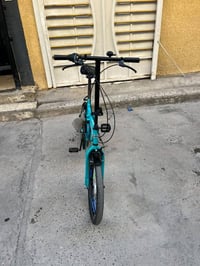 باسكل ابو الطبكة • بصليخ بغداد • نضيف
