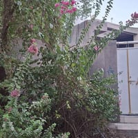 حي الفرات • بيت للايجار • ٢ غرف نوم