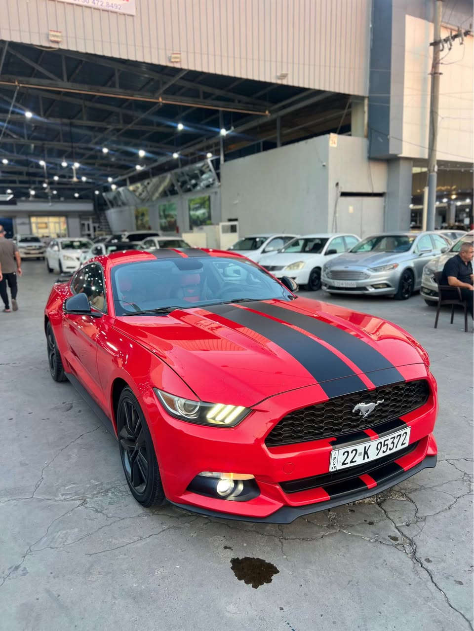 FORD MUSHTNG
موستانگ مودل2015 شه ريكه NIVA سياركه خه ليچي بي سبوخ بي تعديل كلينه سياركه eco bosta V4 هه مو شتي به شه رت 

سعري:115 وه ره قه 
رقمي ساحيبي*********** أربيل, العراق
