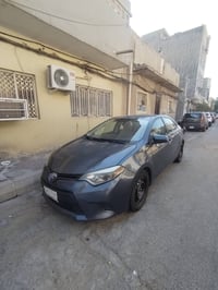 كورلا • وارد امريكي • ٢٠١٦