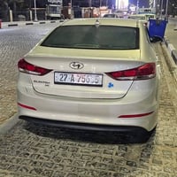النترا ٢٠١٧ • وارد امريكي • الزبير