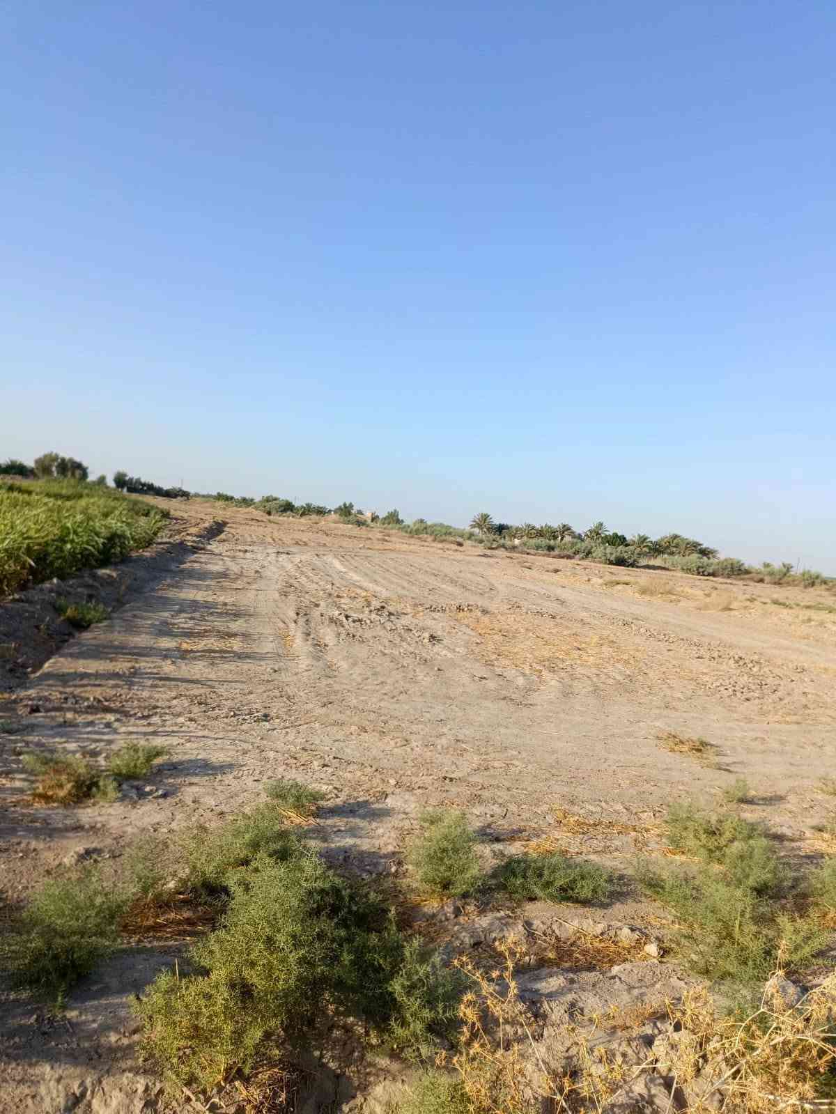 📣 أرض زراعية مميزة للبيع  📣الموقع: محافظة الديوانية - قضاء سومر.طريق السعيد قرب مدرسة الشموس 5 دقائق عن الولايه نوع السند القانوني: عقد 35 زراعي (رسمي وجاهز للتنازل)(15 دونم).الخدمات المتوفرة:🔹 واجهة على شارع تبليط (أسفلت) لسهولة الوصول.🔹 متوفر شبكة ماء إسالة.🔹  كهرباء.نهر مباشر من نهر الاسدل🔹 كافة الخدمات الأساسية متوفرة في المنطقة (موقع حيوي ومخدوم).📌 الأرض مثالية للاستثمار الزراعي، الحيواني، أو كأرض للمستقبل نظراً لتكامل خدماتها.
رقم الهاتف ***********
📣 أرض زراعية مميزة للبيع  📣الموقع: محافظة الديوانية - قضاء سومر.طريق السعيد قرب مدرسة الشموس 5 دقائق عن الولايه نوع السند القانوني: عقد 35 زراعي (رسمي وجاهز للتنازل)(15 دونم).الخدمات المتوفرة:🔹 واجهة على شارع تبليط (أسفلت) لسهولة الوصول.🔹 متوفر شبكة ماء إسالة.🔹  كهرباء.نهر مباشر من نهر الاسدل🔹 كافة الخدمات الأساسية متوفرة في المنطقة (موقع حيوي ومخدوم).📌 الأرض مثالية للاستثمار الزراعي، الحيواني، أو كأرض للمستقبل نظراً لتكامل خدماتها.
