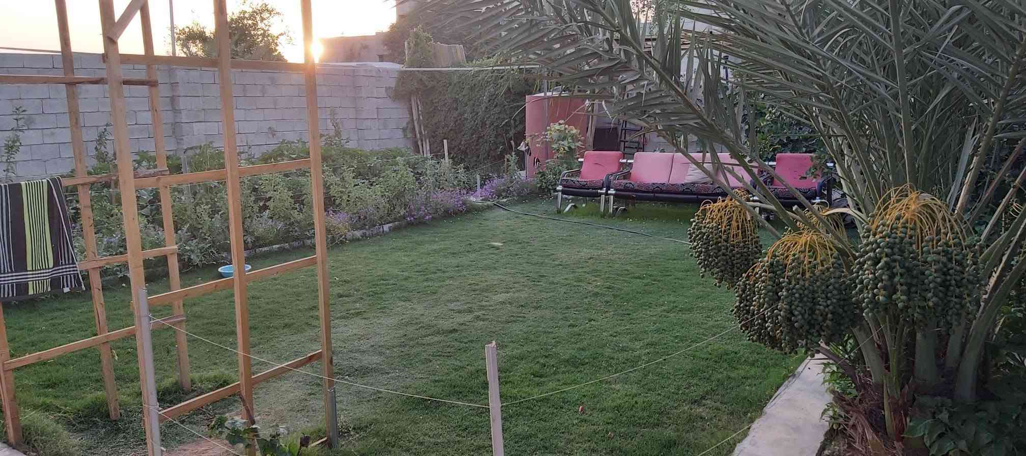 تل السوق العليا • ٣٦٠م • ٣ غرف نوم