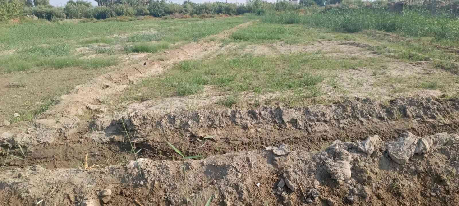 البونايل • شط الديوانية • ٦ دونم