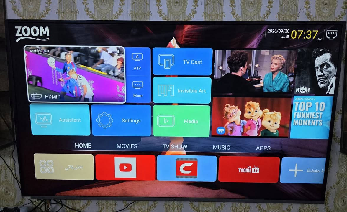 السلام عليكم
شاشة ماركة Zoom حجم 65 4k Ultra HD مستعملة نظيفة جدا نظام اندرويد تشغل اي تطبيق.
وايفاي
مدخل LAN
3 مداخل HDMI
2 مدخل USB
السعر 500 الف وبيهه مجال
العنوان حي الجهاد
***********
