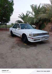 مكفوله مكينه • سنويه ضايعه • نجف