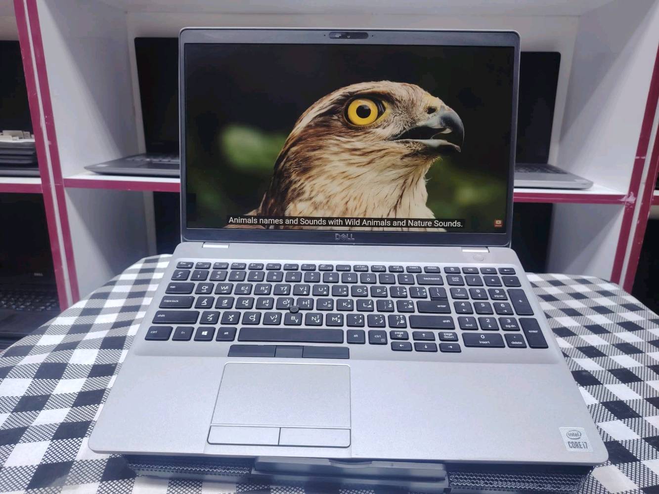 بمعالج i7 من الجيل العاشر وبسعر مناسب 
مناسب لـ: الدراسة، الأعمال المكتبية، المهندسين،البرمجه
💻 Dell Latitude 5510

   المعالج: Intel Core i7 10
-الرام: 8GB DDR4 M.2 — قابل للتطوير
-التخزين: 256GB SSD — قابل للتطوير
-الشاشة: 15.6 بوصة
-كرت الشاشة: Intel UHD Graphics مدمج

🚙التوصيل مجاني لجميع المحافظات مع ملحقات
🖱️ماوس
💼حقيبة
🔌شاحنة
التواصل واتساب : ***********
السعر بـ400 الف دينار فقط