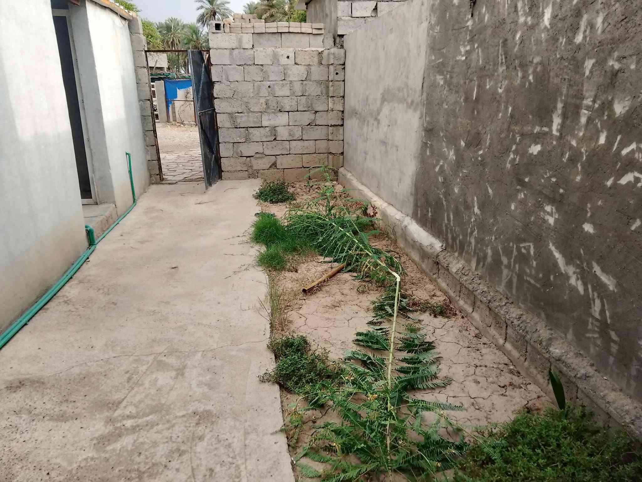 مشتمل • زراعي • ١٠٠م