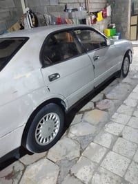 بطة • بدون راعية • مقصر