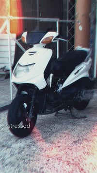 سكنس نثيى • بلادية • سبايدر