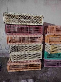 قفص دجاج • ١١ • سعر مناسب