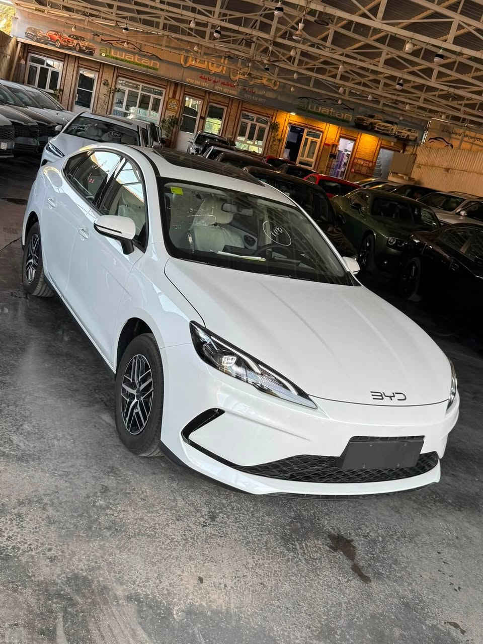 الوحيدة بالموصل 🔥
البطاريه الكبيره 210 كيلو والكير التعليك 🚗🔥
 الدخول الجديد 2026 سيل فايف
2026
إذا تريد السيدان الاقتصادية بشكل أحدث وتجهيز أرتب، Seal 5 2026 وصلت بالدخول الجديد ومواصفات مميزة من الداخل والخارج.

✨ أبرز المواصفات

✅ فتحة سقف

✅ ويل كروم

✅ كير تعليك

✅البطاريه الكبيره 210 كيلو بل شحنه الواحده 

✅ داخلية باللون الأبيض

✅ تصميم دخول جديد

✅ شاشة وسطية

✅ عدادات ديجيتال

✅ تحكمات ستيرن

✅ حساسات خلفية

✅ كاميرا خلفية

✅ قطعتين تبريد خلفية

🔥 شكل أحدث، داخل أبيض، ومواصفات تخليها خيار قوي للاستخدام اليومي.

📞 ***********
