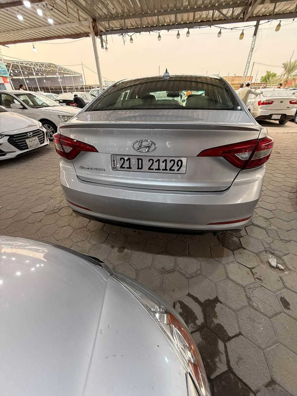 سوناته شكل ١٧ • ٢٠١٥ • النجف