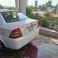 ٢٠١٣ • بدون صبغ • نينوى
