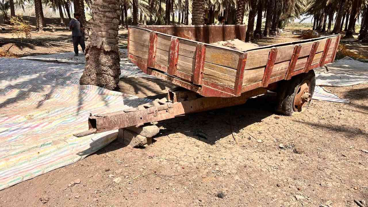 عربانه للبيع بابل القاسم
***********
