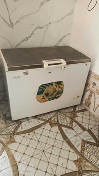 مجمدة • نظيفة • بيها مجال