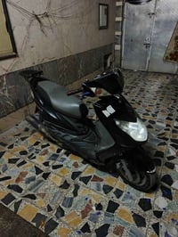 سكنس فحل • ياباني • نفخ