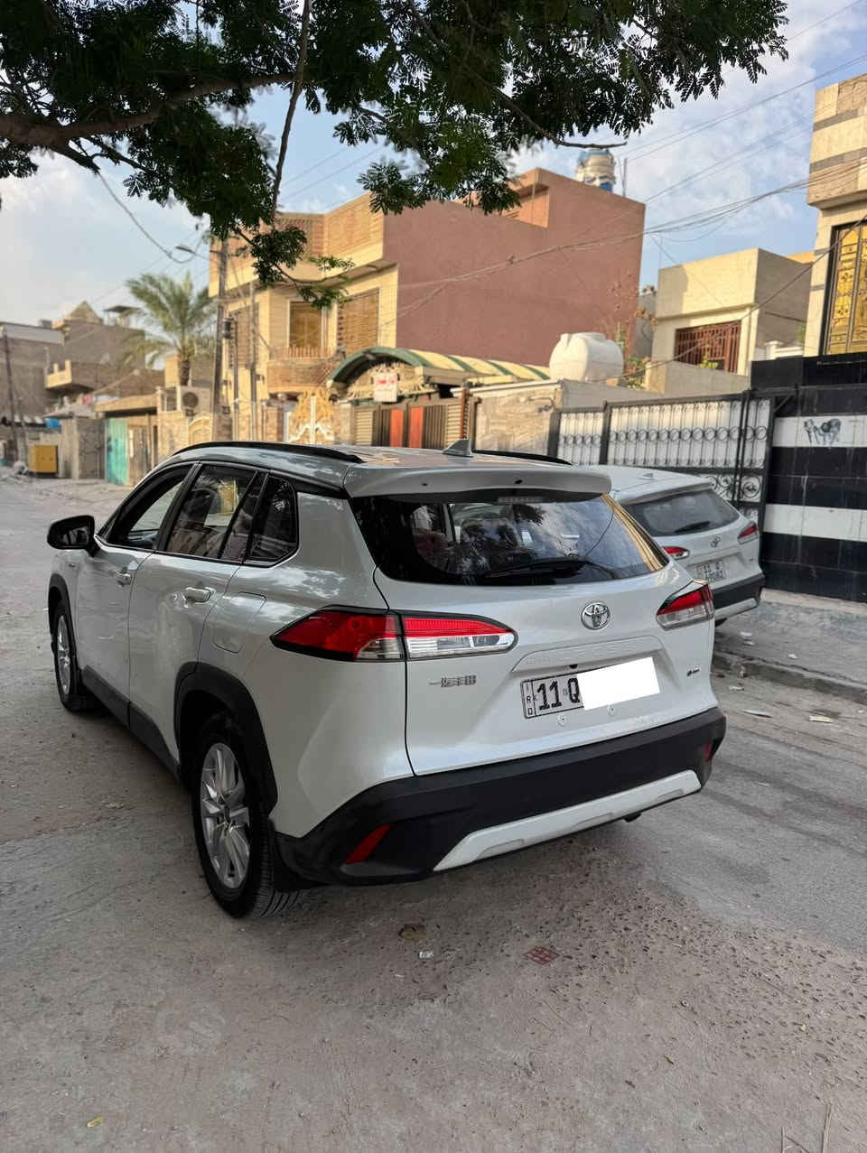 كروز • ٢٠٢٤ • ٣٥٠٠٠