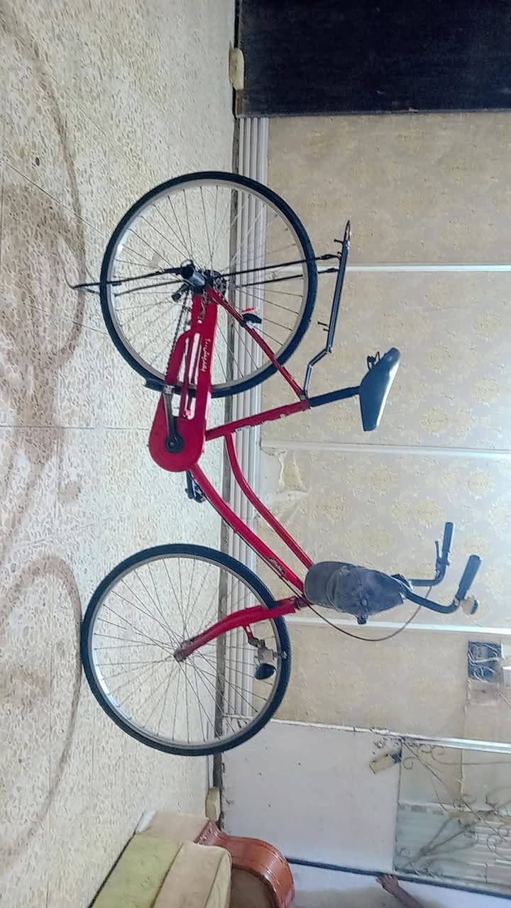باسكل • نظيف • حلو