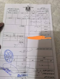 بل نصار • ٢٥٠م • قطعة أرض