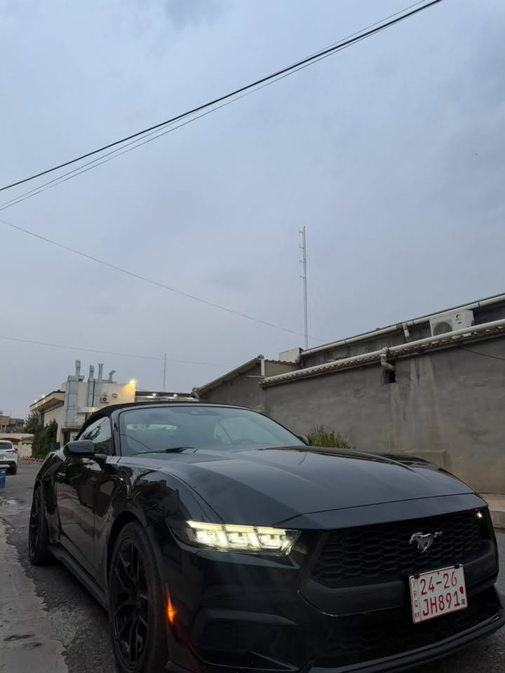 موستانغ كونفرتبل • ٢٠٢٥ • بدون ايرباك