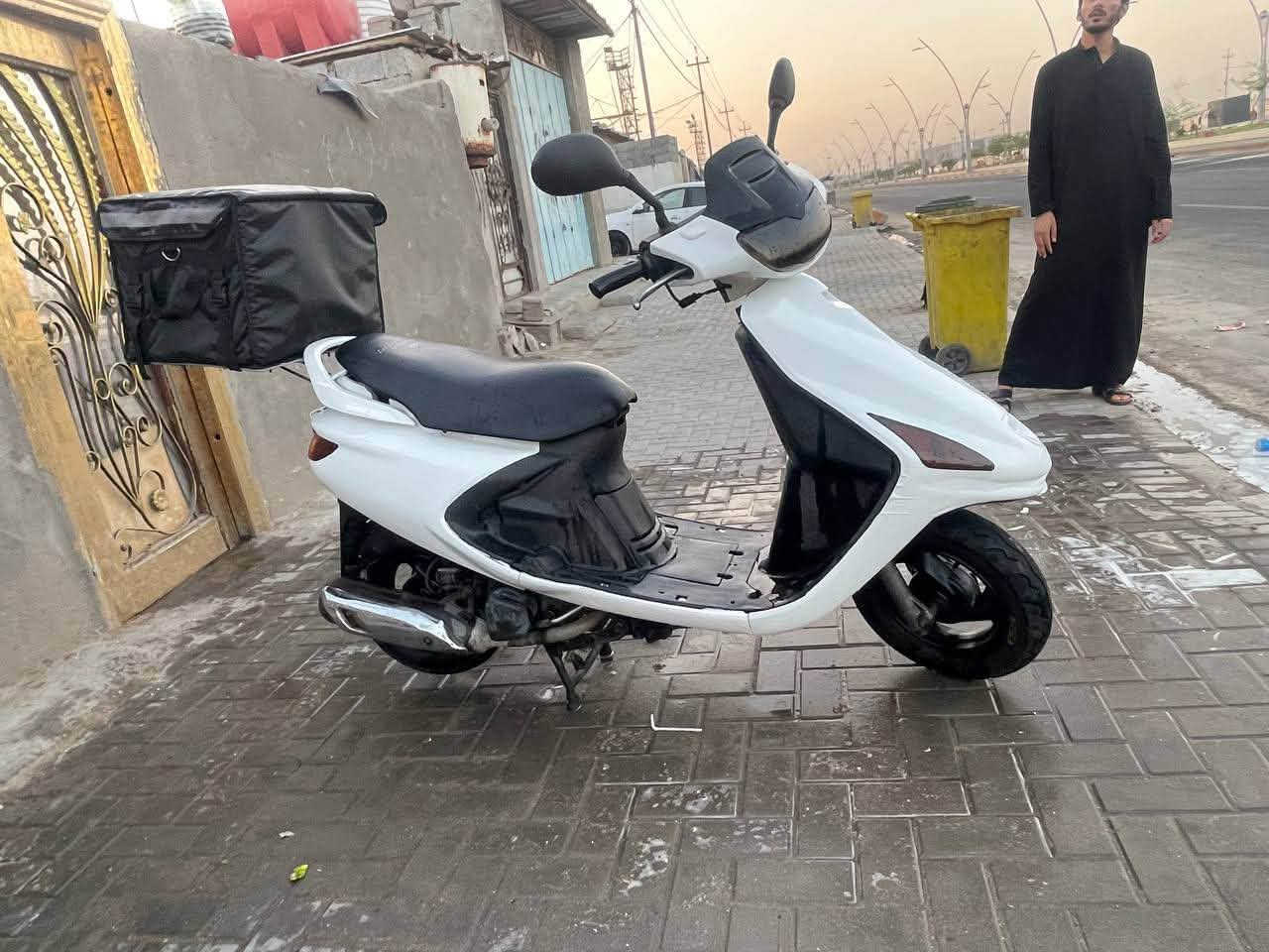 فراشة • فحل • جديدة