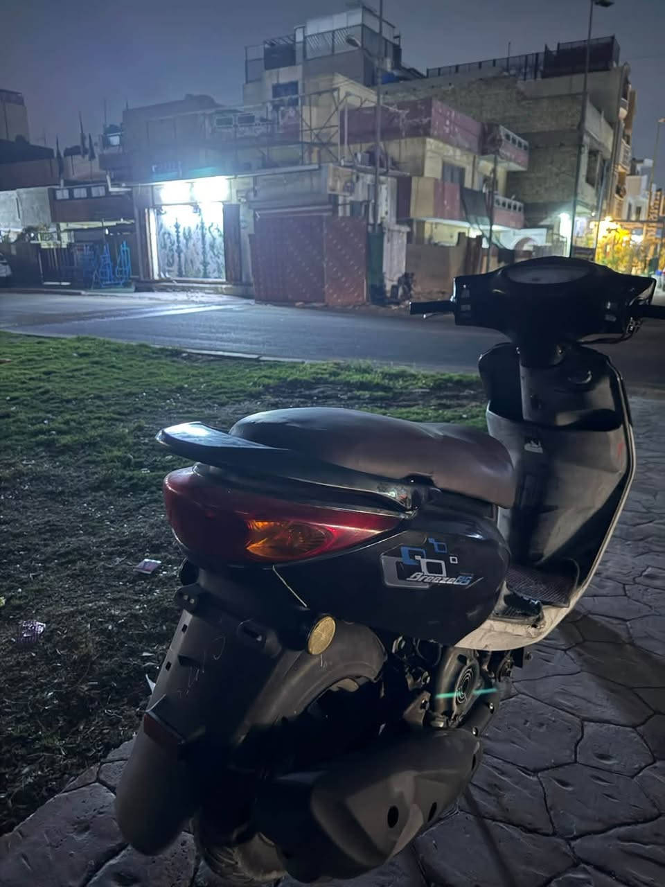 بريز بغبغاء • كفالة • ٤ اشهر