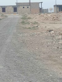 بني داهر • ٥٥٠م • شارع ١٠م