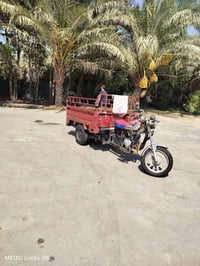 ستوته • 2010 • اسود