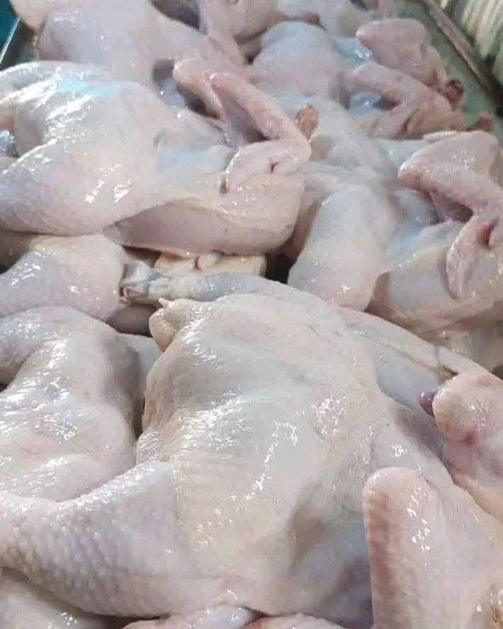مجزرة النعمانيه • دجاج حي • دجاج مقطع