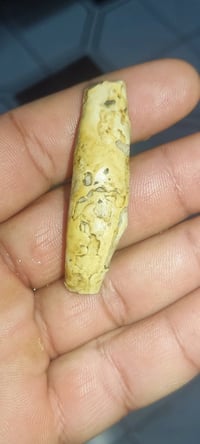 جلب الحبيب • عقد لسان • مجرّب