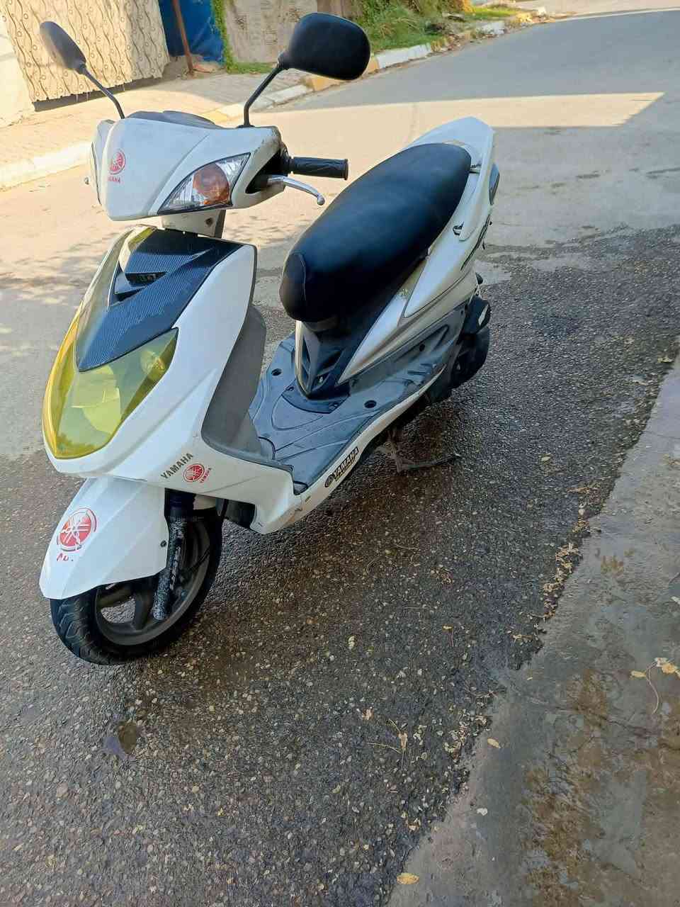 سكنس فحل • مكفول • تبخير
