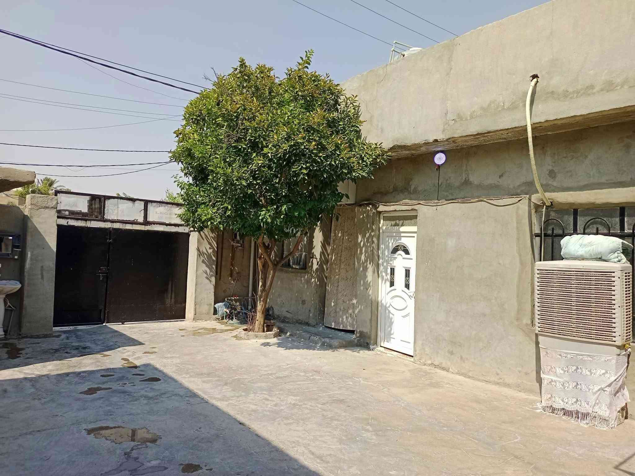 دار للبيع ..
📍الموقع .كركوك ممدوده الشارع العريض 

للاستفسار الاتصال ع الرقم التالي 
هـ
***********
