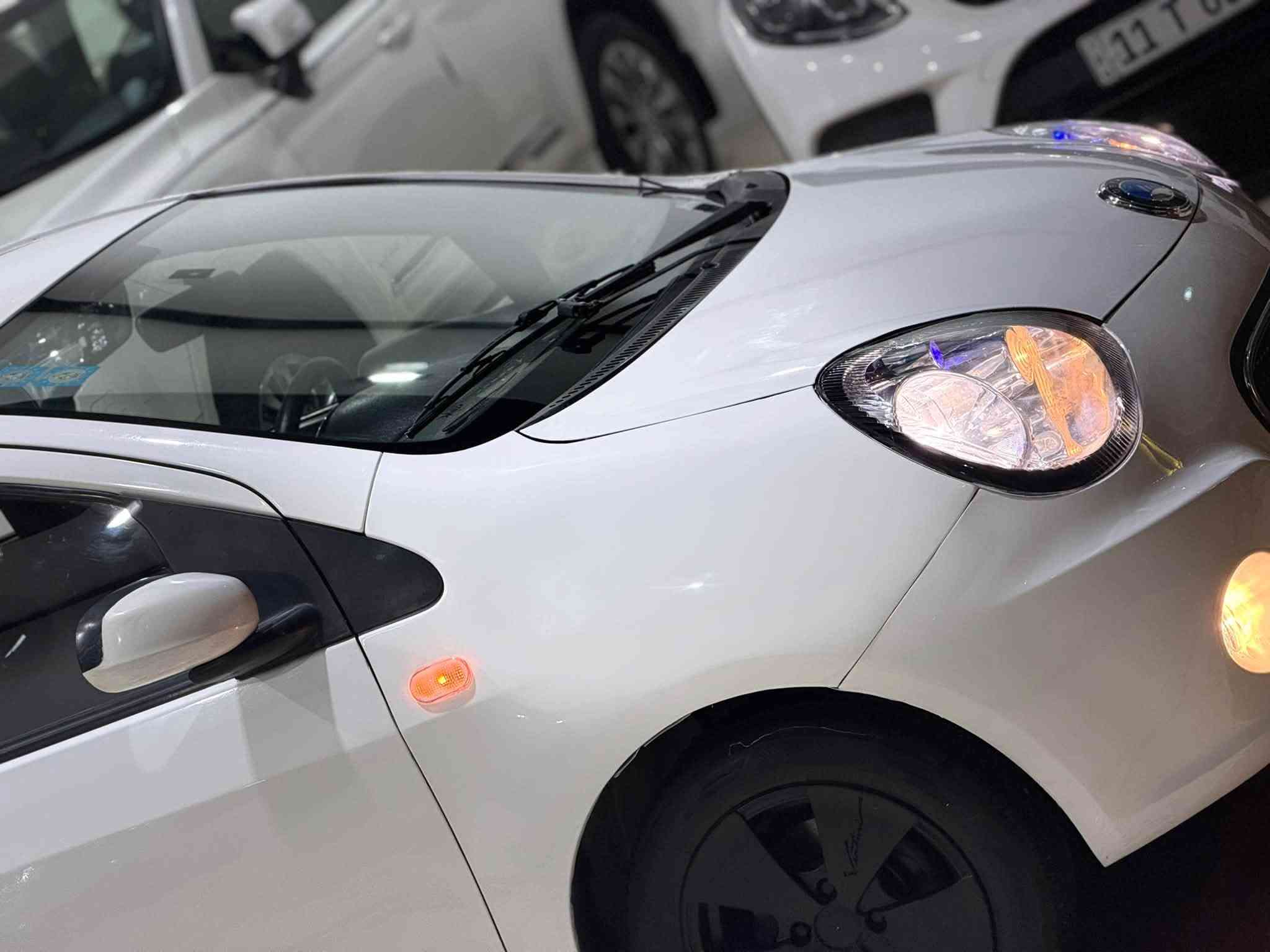 جيلي باندا • توماتيك • رقم بغداد