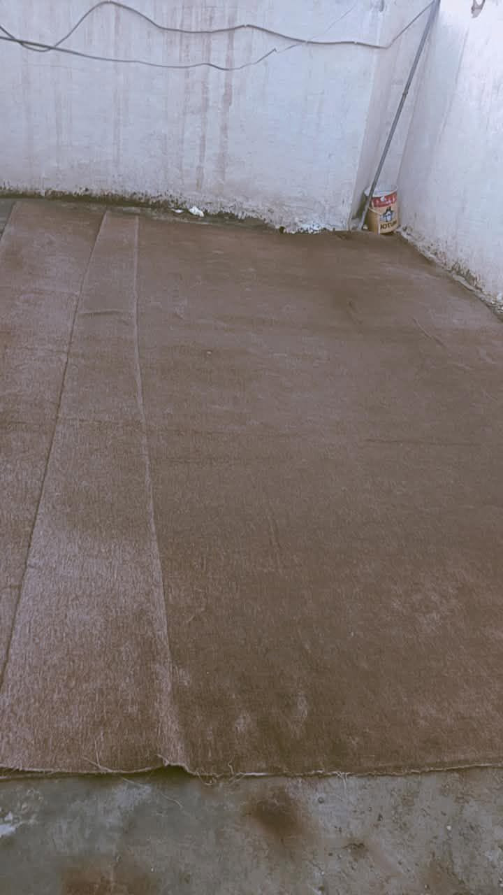 كاربد جوزي • ٥×٤م • نظيف