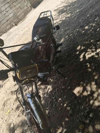 موديل 24 • كامل • اوراق