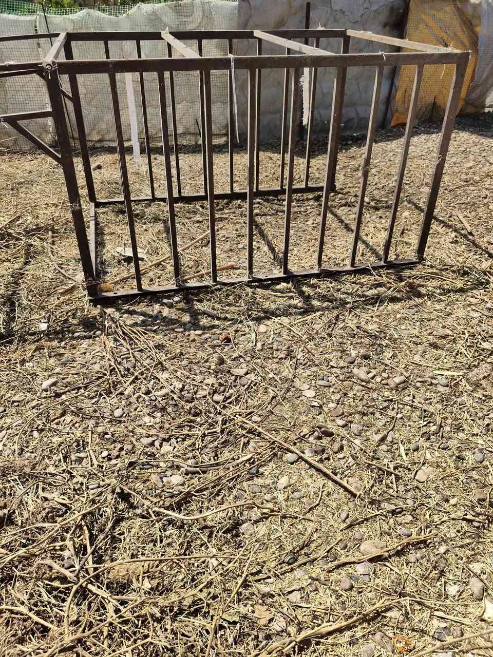 السلام عليكم يوجد قفص دجاج حجم كبير  و محجل ستوته  للبيع الاستفسار اتصال على الرقم ***********
