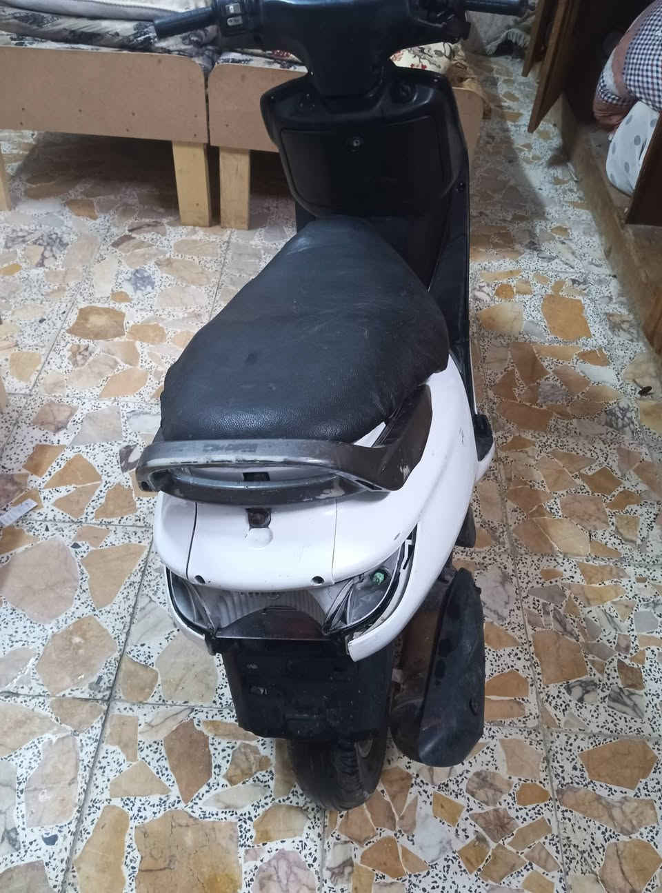 فراشة • نجف • تجفيت