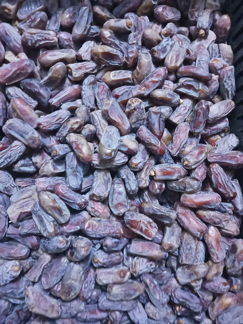 تمر بلكه • درجه اولى • سماوة