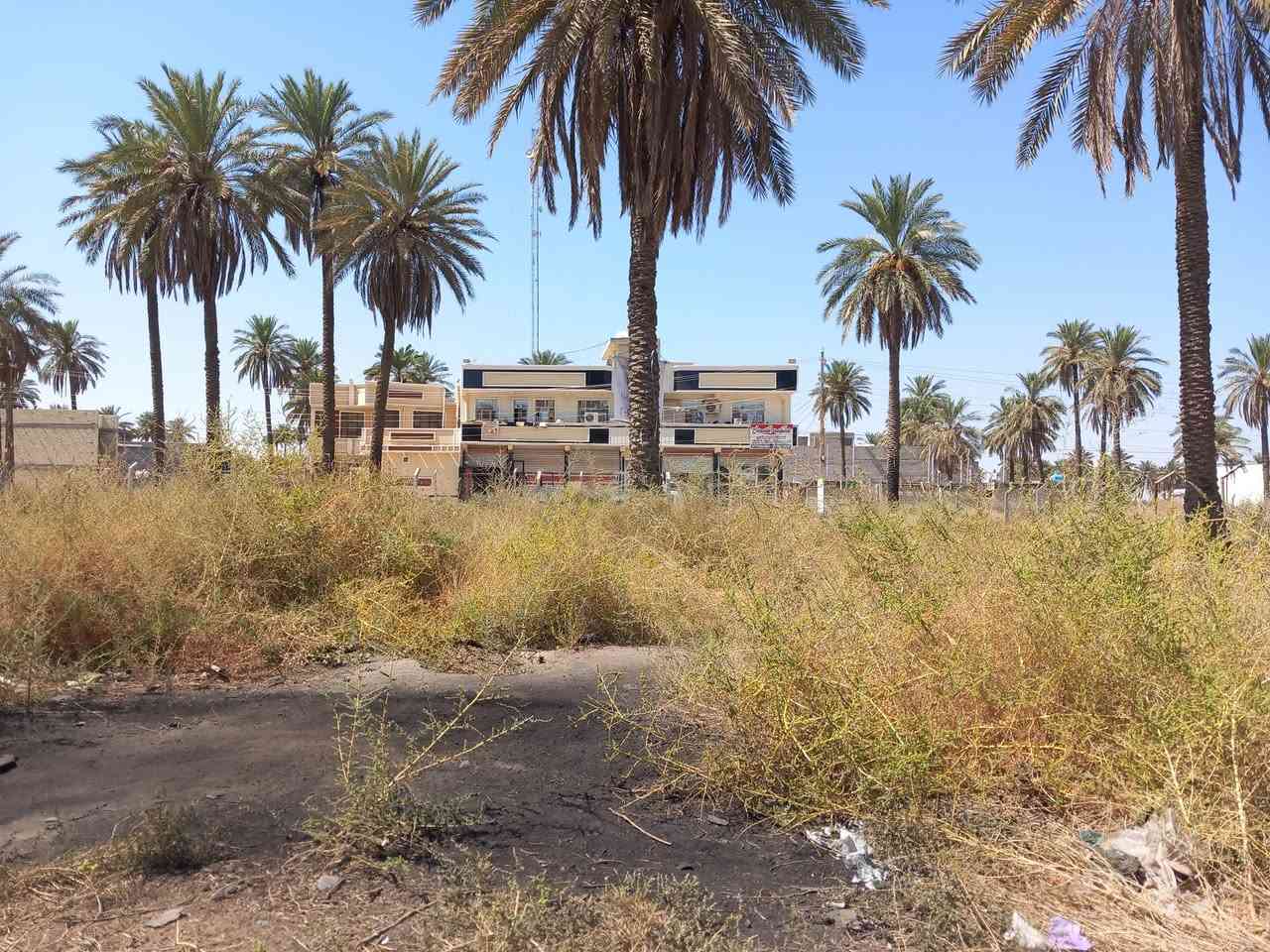 قطعة ارض للبيع سند ٢٥ بستان الكبيسي مساحة الارض ١٠٠م 
الواجة ٥ النزال ٢٠ 
للإستفسار *********** واتساب / اتصال

غير متواجد على الفيس

