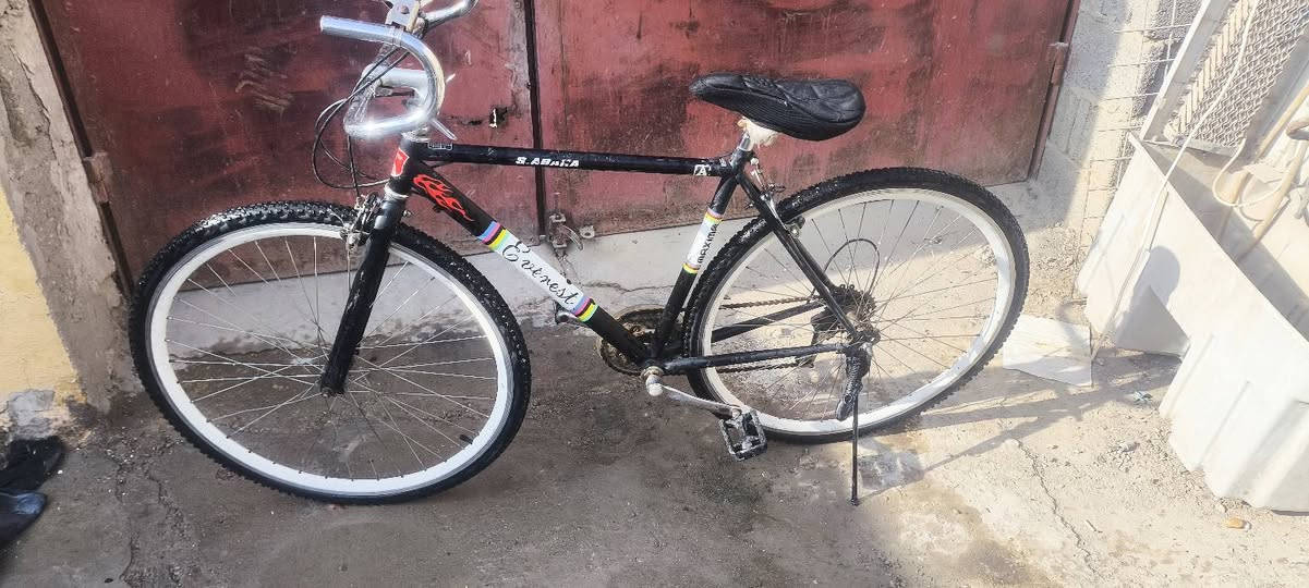 باسكل للبيع البارحه طلعنا حاويه حته البريكات مافارهن
 ماخذينه اب85 
واريد ابيعه اب70 وبي مجال مكان شطره  *********** وتساب 
 علق وراسلك
