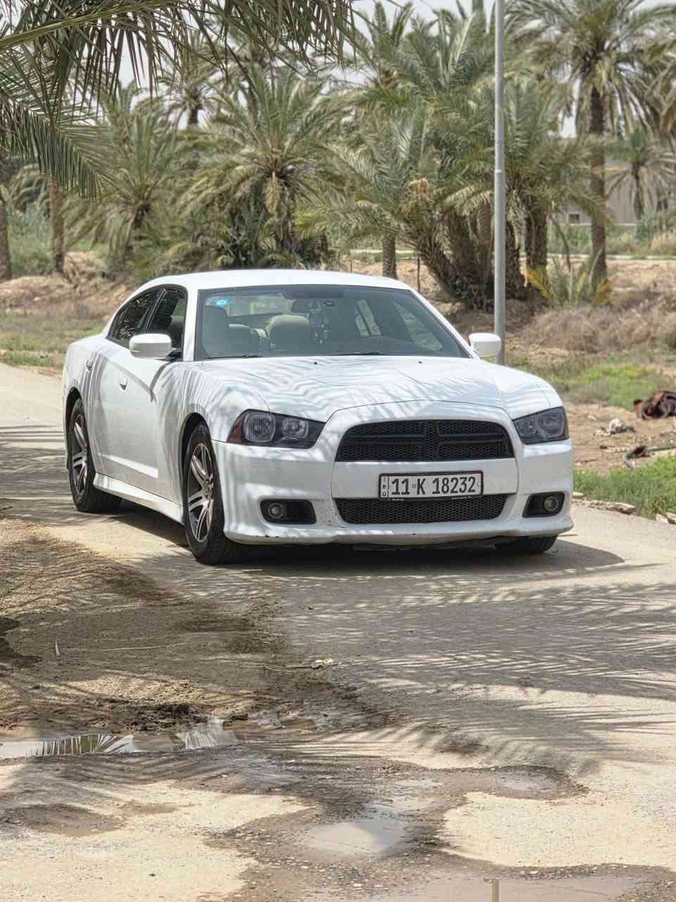 يالله سلام عليكم
دودج جارجر مديل 2013 خليجي
رقم بغدادجديد وسنويه جديده وهزه جديده تحويل ثاني يوم
(كفاله فقط  جاملغ امامي صبغ بدون ضربه )
مكينه 3600 
مكينه كير حداده كلها جاهزه مابيها اي نقص
تخم تاير ويل خليجي
كير طياره شاشه 
(مكان سياره سماوه وركاء)
(سعر 165 بيها مجال لشراي 
رقم هاتف ***********
