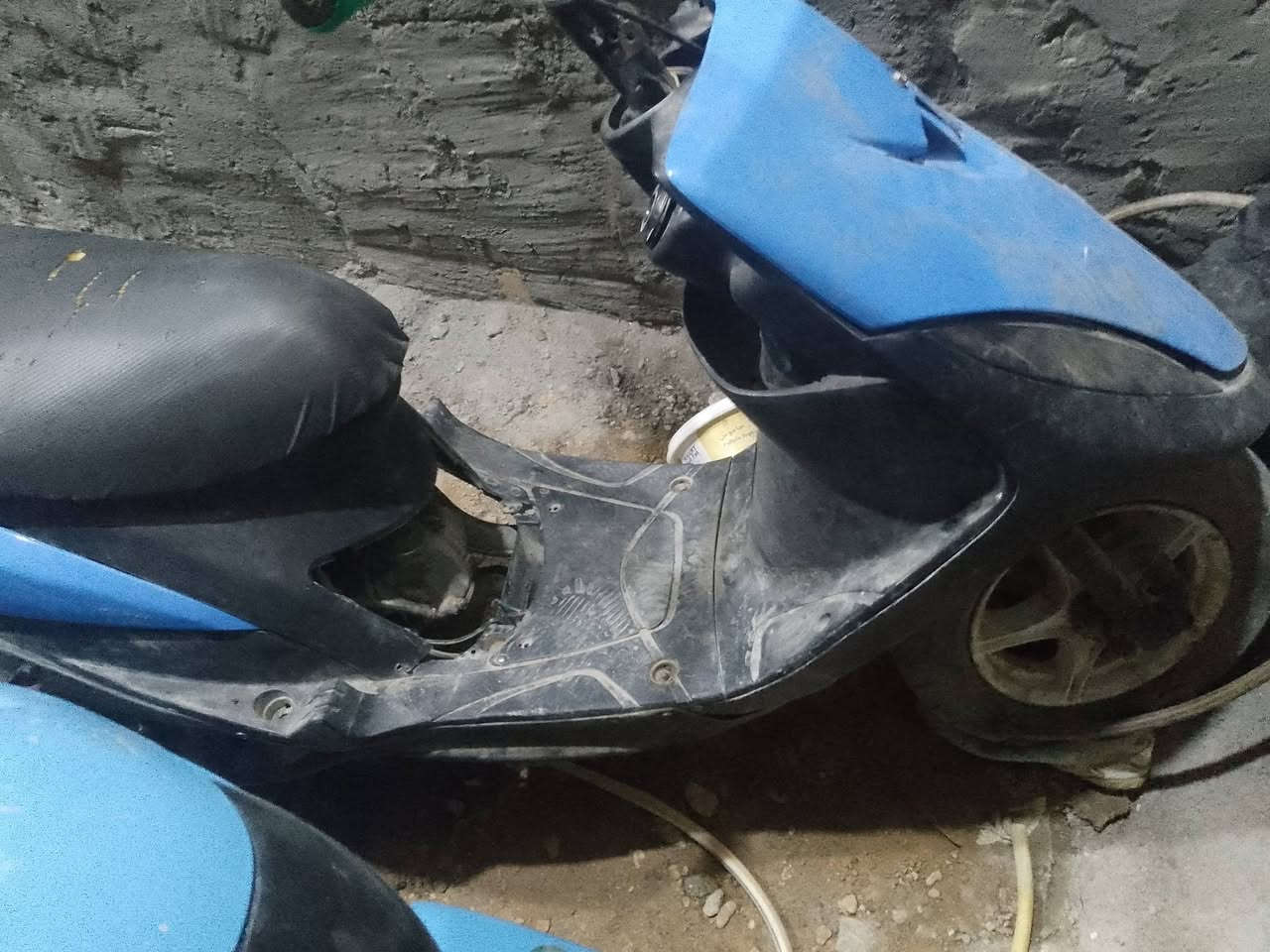 ماكس عدلة • معدل • بوشه ٥٥