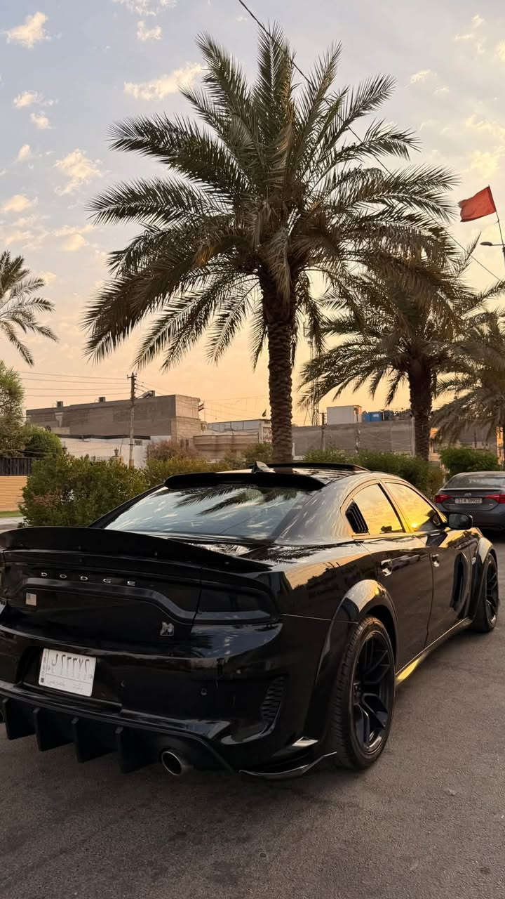للبيع جارجر سكات باك وايد بدي اصل 392 🚀
موديل 2022 كلين تايتل بدون حادث و إيرباك 🔥
الجاملغ و الويل البلادي و الدعامية نفسه مشدود
مكينة v8 / 6.4L
الممشى / 38 الف ميل حقيقي
السيارة بأسم مالك واحد من الأستيراد لهذا يومنه 
لا نازلة استعراض و لا تفحيط 
فوول مواصفات كلشي بيها بلادي 
كير مكينة ايرباك شاصي لغد تبديل صبغ حدادية اكسل كلهن كفالة
على وضع الشركة 
عدا الاكزوز تفريغ كامل و سستم اكزوز يم علي الوادي
و طلقات صوتها رررعب 
لايتات اورايگل
و لا گلوب  مشتغل بالدشبول السيارة على وضع البلاد 
تجي و تشوف بعينك
المواصفات :
١- فتحة سقف 
٢- كشنات كنتارا و جلد حضن مختم سكات 
٣- تدفئة و تبريد كشنات امامية و خلفية تدفئة
٤- ميموري سيت و ترحيب ستيرن و كشن 
٥- لانج كونترول و وضعيات قيادة 
٦- سستم صوت الباين 
بعد هواي مواصفات معروف الفول مال جارجر 

السيارة جاهزة من مل النواحي 
سعر السيارة / 299 ورقة و بيها مجال للشراي 
مكاني بغداد  / السيدية
*********** محمد عرب
