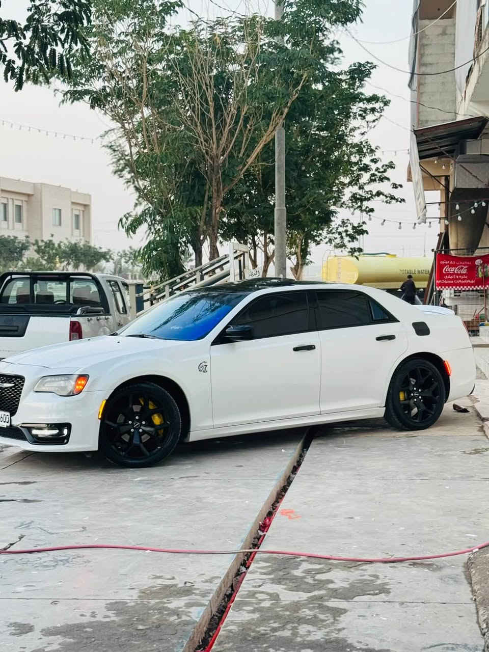 بانوراما • مقاعد جلد • ٢٠١٤