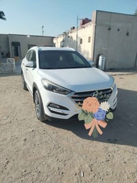 ٢٠١٨ • خليجي • ماشية ١٠٥ الف