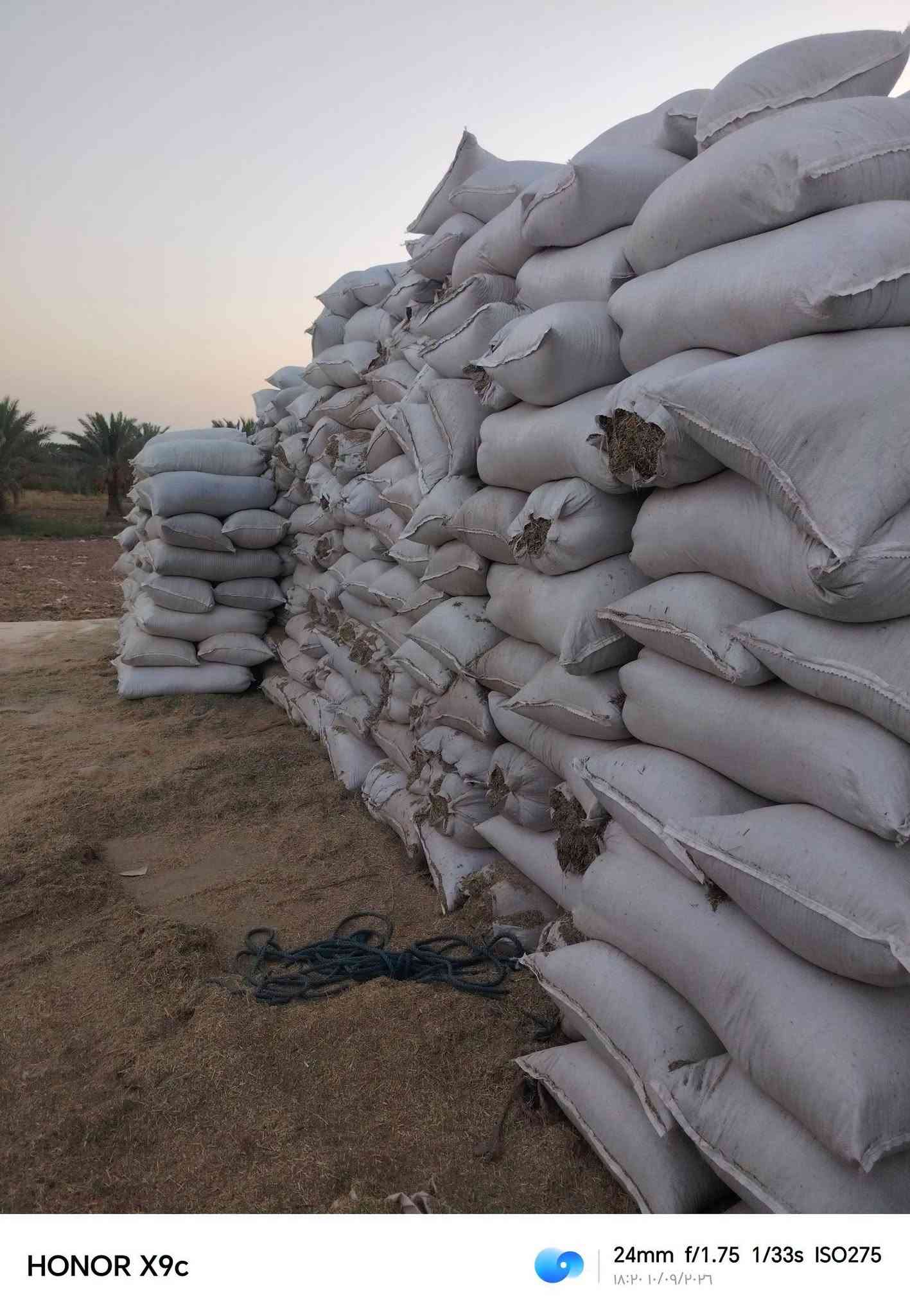 السلام عليكم يوجد تبن جت درجه كميه مفتوح مكاني بابل الحمزه الغربي ***********

