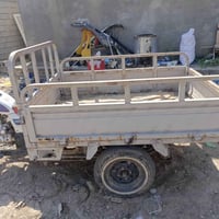 ستوته • نقص أوراق • ناصريه مركز