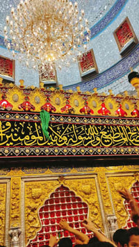 النجف الكوفة • كوستر حديث • الخميس ١٠ ليلاً