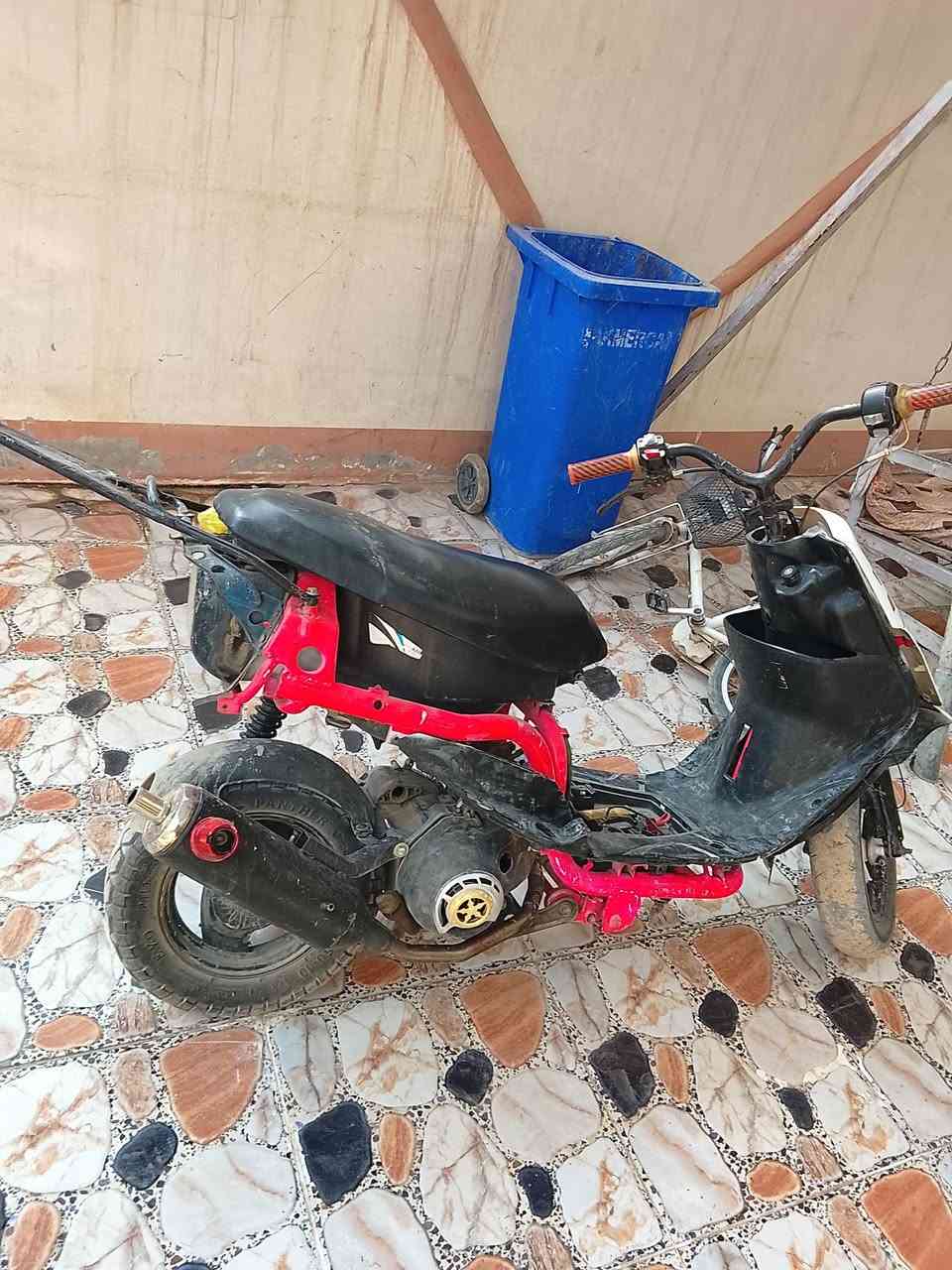 ماكس رياضي • بوشة ٥٥ • شلعة معدل
